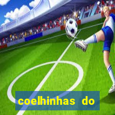 coelhinhas do brasil recife